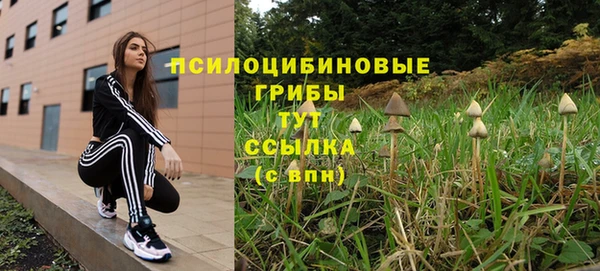 гидра Протвино