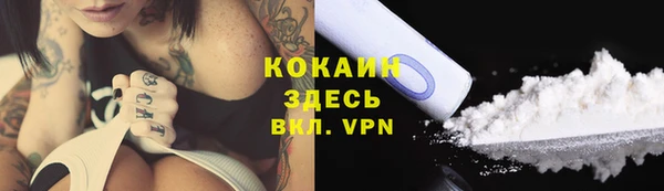 гидра Протвино