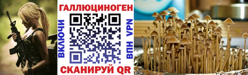 где купить   Северобайкальск  Псилоцибиновые грибы Magic Shrooms 