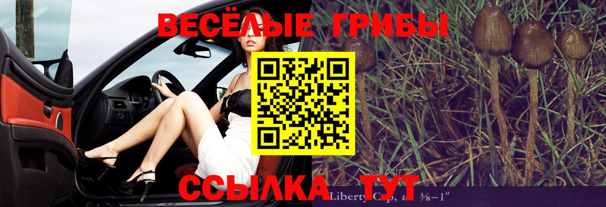 Галлюциногенные грибы GOLDEN TEACHER  Северобайкальск 