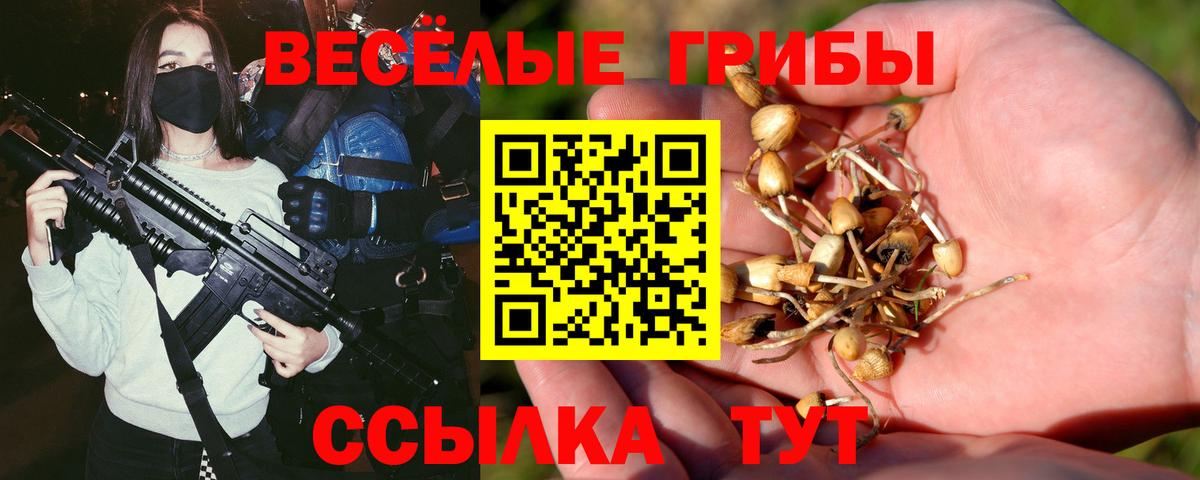 Северобайкальск  Галлюциногенные грибы ЛСД  Вход с VPN  Псилоцибиновые грибы GOLDEN TEACHER 