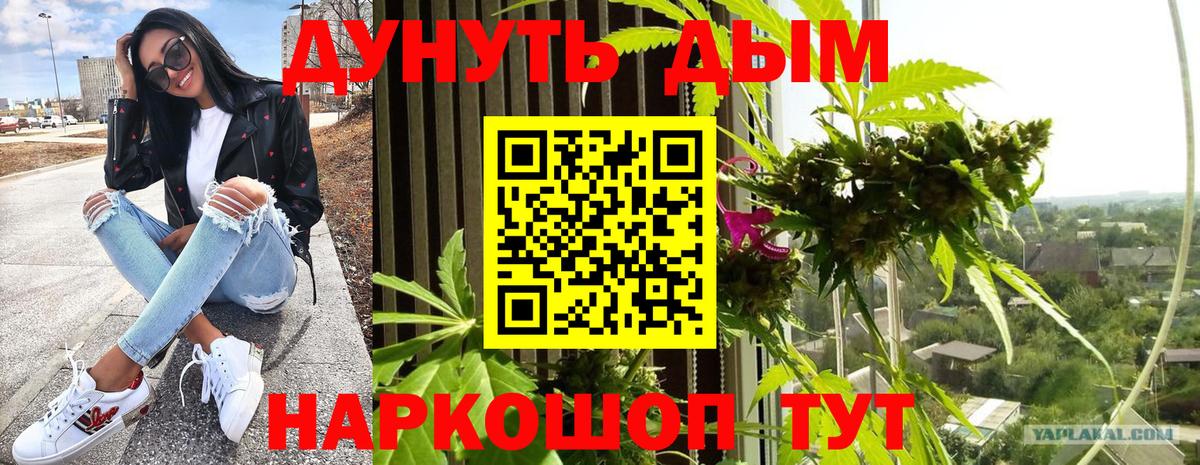 Бошки марихуана марихуана Северобайкальск